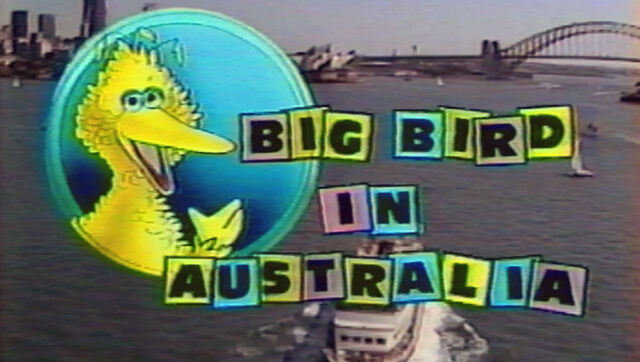 File:Big Bird in Australia.jpg