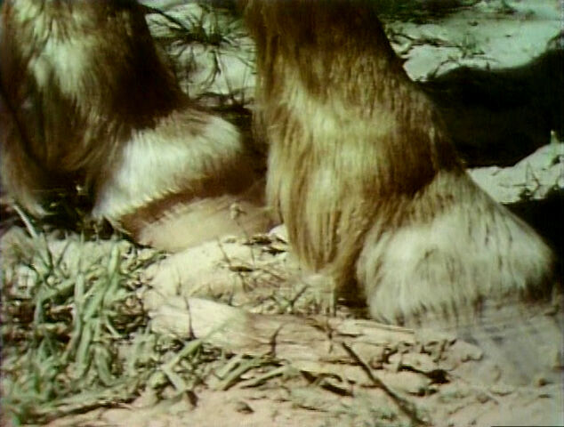 File:300013.jpg
