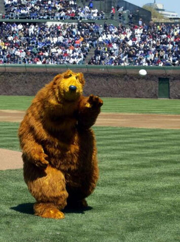 File:Bear.baseball.jpg