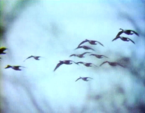 File:1446l.jpg