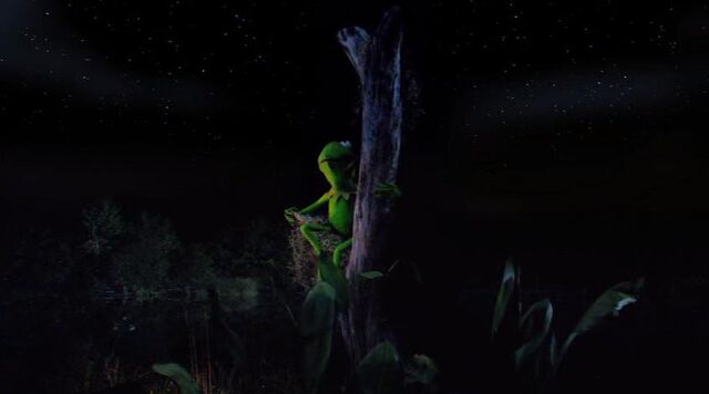 File:Follow your star.jpg