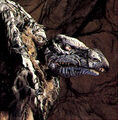 Thumbnail for version as of 20:28, January 19, 2006