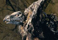 Thumbnail for version as of 02:25, March 19, 2013