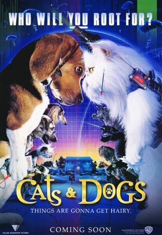 File:Catsanddogs.jpg