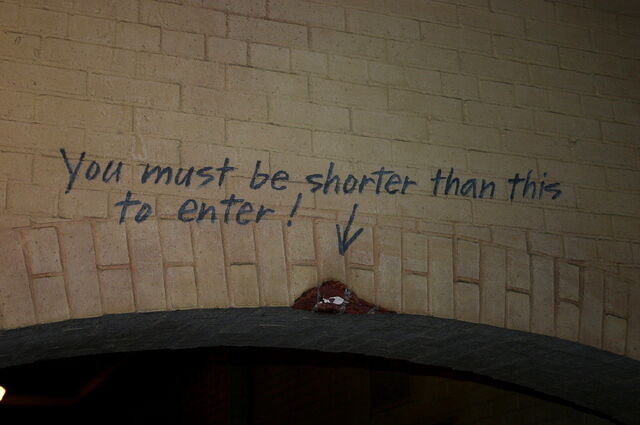 File:Shorterthanthis.jpg