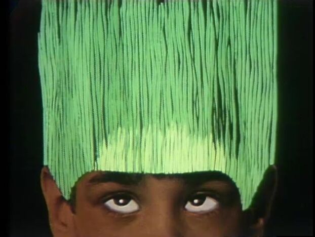 File:Toon.grasshair.jpg