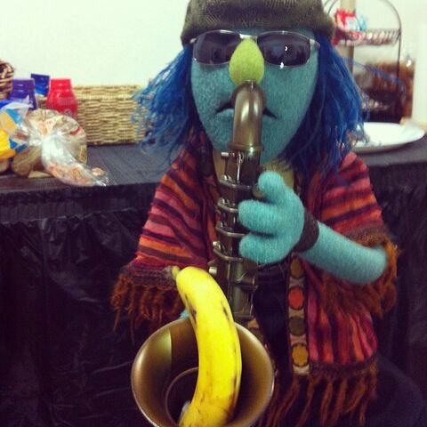 File:Instagram zoot.jpg