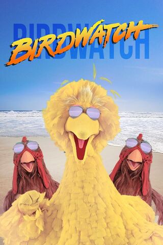 File:Birdwatch.jpg