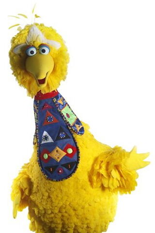 File:Africa big bird.jpg