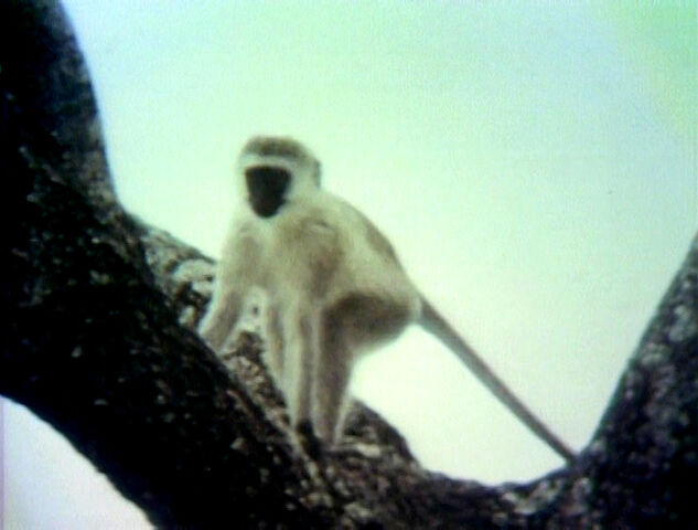 File:2682j.jpg