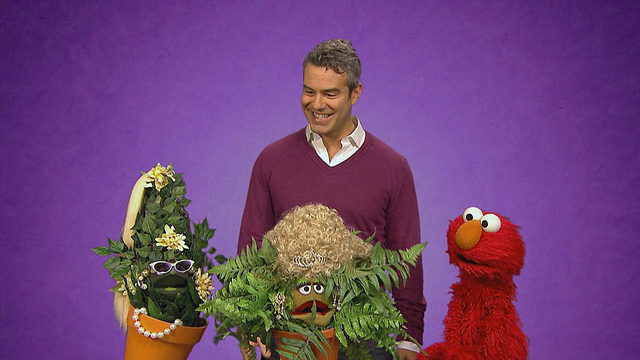 File:Andy-Popular.png