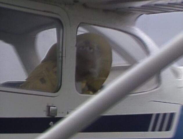 File:Matt plane.jpg