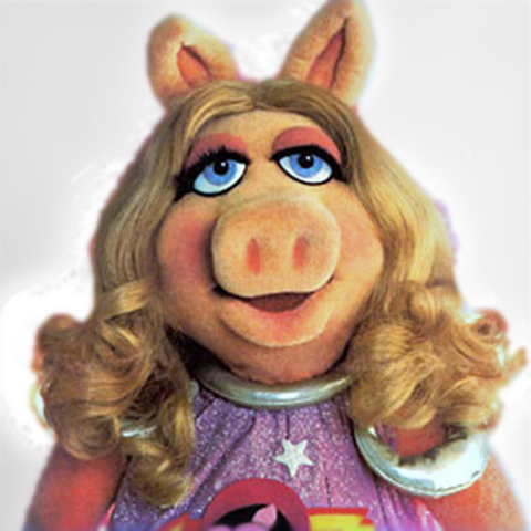 File:FirstMatePiggy-gallery.png