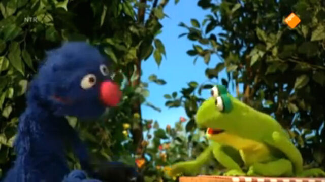 File:Grover-Frog.jpg