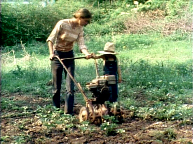 File:IntoTheGarden.jpg