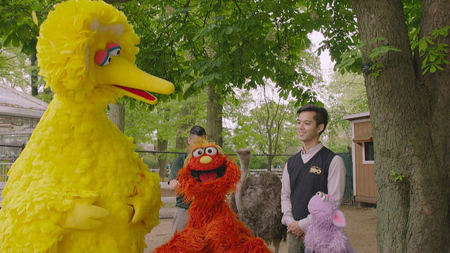 File:Murray-Birds04.png