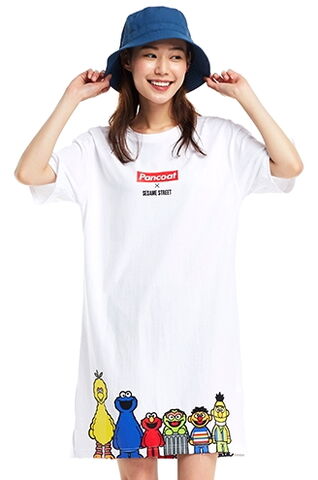 File:Pancoat one piece friends.jpg