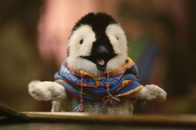 File:GloriaEstefanThePenguin.jpg