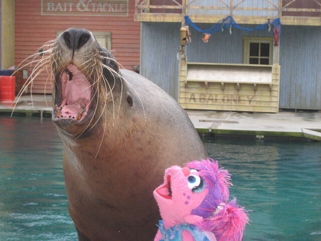 File:SeaWorldGoldCoastAbbyCadabby.jpg