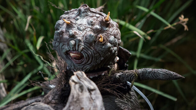 File:CSC-E6-Jake.jpg