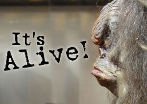 Itsalive1
