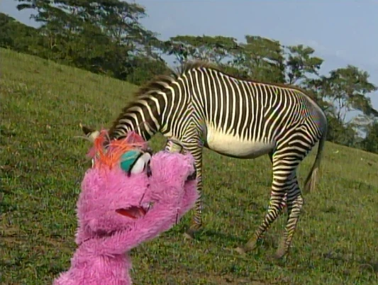 Episodio 848 | Muppet Wiki | FANDOM powered by Wikia