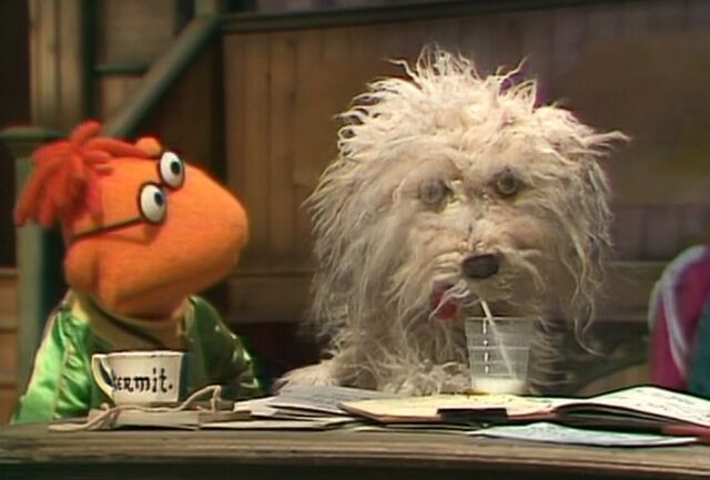 File:Muppy drinks.jpg