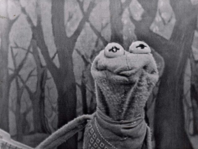 File:Horsenamedbill-sam.jpg