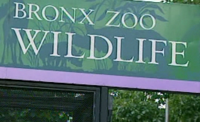 File:ZZoo.png