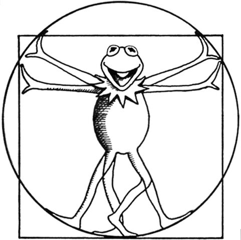 File:Vitruvianfrog.jpg