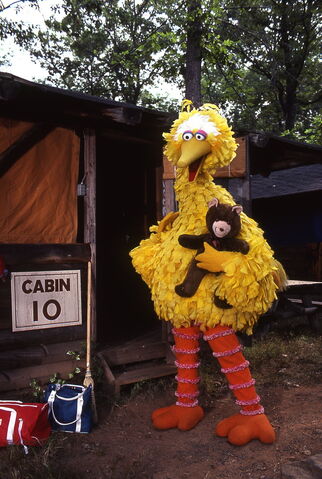 File:Big bird radar camping.jpg