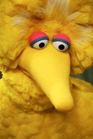 File:Bigbirdpensive.jpg
