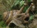 Thumbnail for version as of 23:31, April 16, 2006