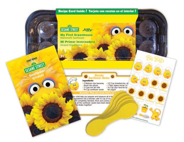 File:SesameStreetSeeds-MyFirstGreenhouse-BigBird-2010.jpg