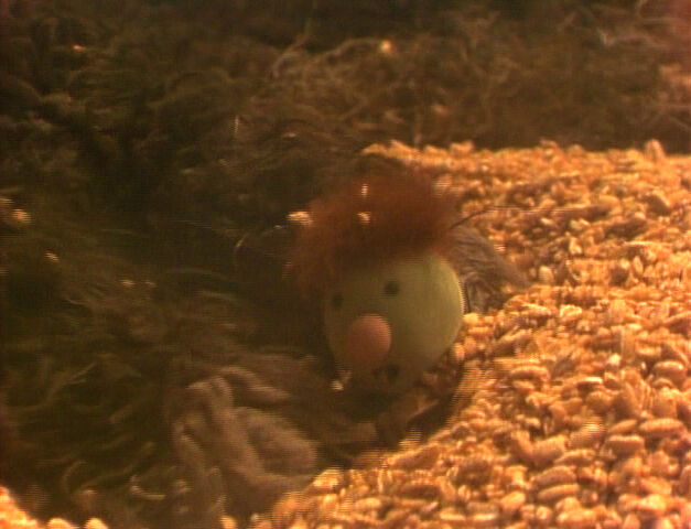 File:FraggleRock-503c.jpg