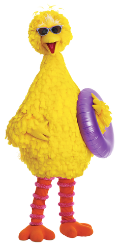 File:BigBirdsSummerGear.png