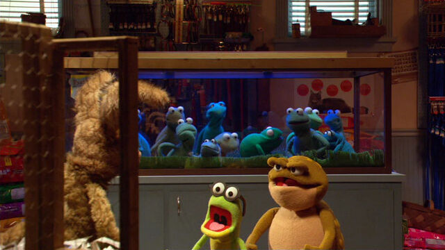 File:KSY-PetShop.jpg