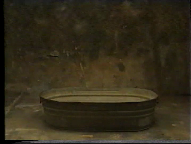 File:Vlcsnap-2015-08-19-17h48m19s134.png