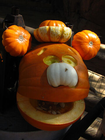 File:Big thunder pumpkin fozzie.jpg