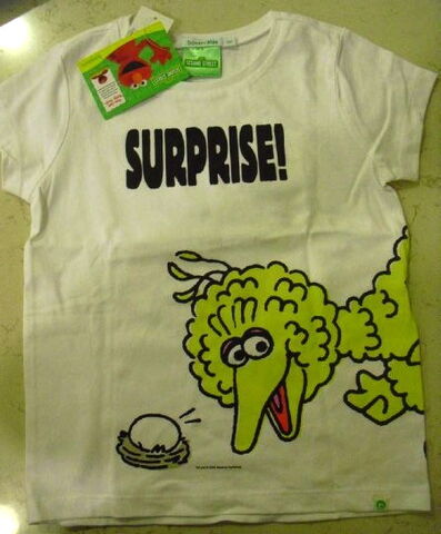 File:B 2009 t-shirt bb white.jpg