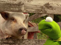 Thumbnail for version as of 18:40, October 29, 2006