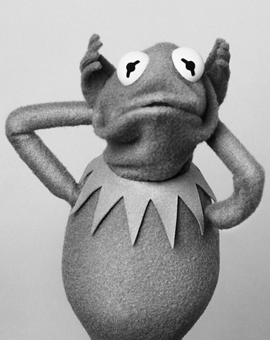 File:SüddeutscheZeitung-Kermit-03-RejectedRoleOfYoda.png