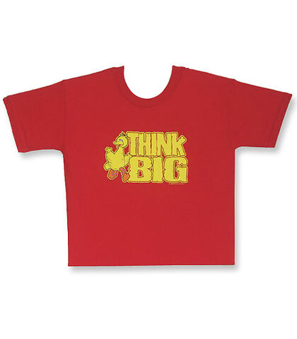 File:Tshirt-thinkbigbird.jpg