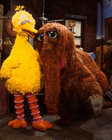 File:Bird snuffy 5.jpg
