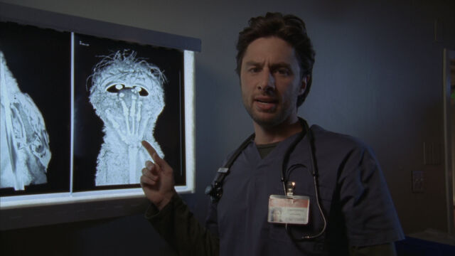 File:Ex Ray x-ray.jpg