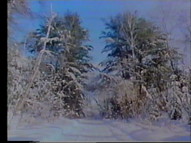 File:Vlcsnap-2016-02-26-13h07m12s138.png