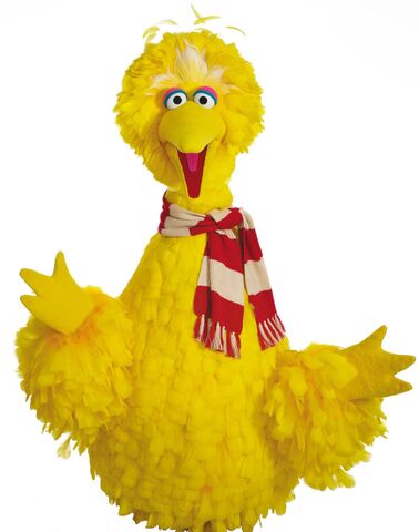 File:Big Bird scarf.jpg