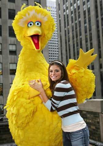 File:MariaMenounos-BigBird-3.jpg
