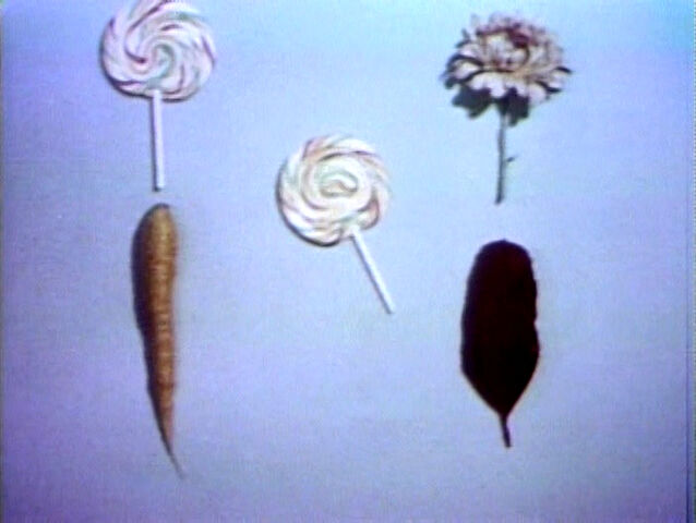 File:Lollipop.feathers.jpg
