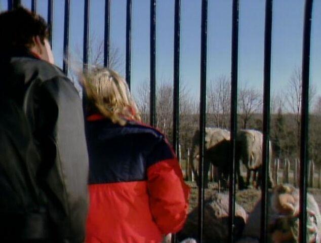 File:Matt zoo.jpg